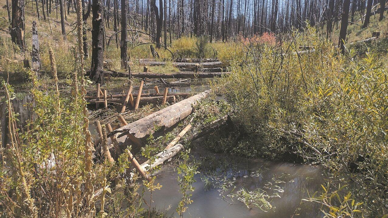 Sprague River Collaborative Restoration Project Quarterly Update